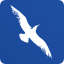 Airline